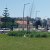 Projeto de Arborização